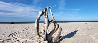 Fantastic House, Located Among Meadows and Nature, Near the Sea