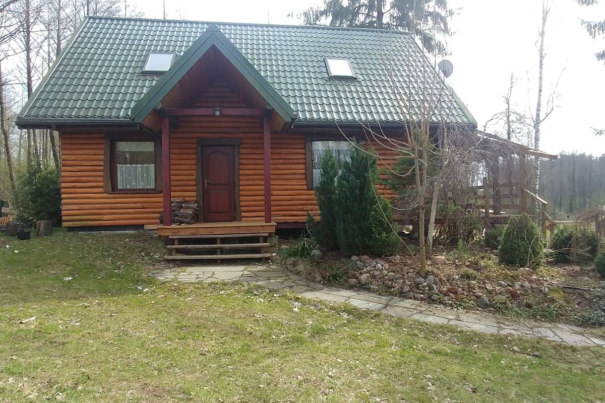 Eine Blockhütte mit einem grünen Dach, einer Veranda und einem kleinen Garten.