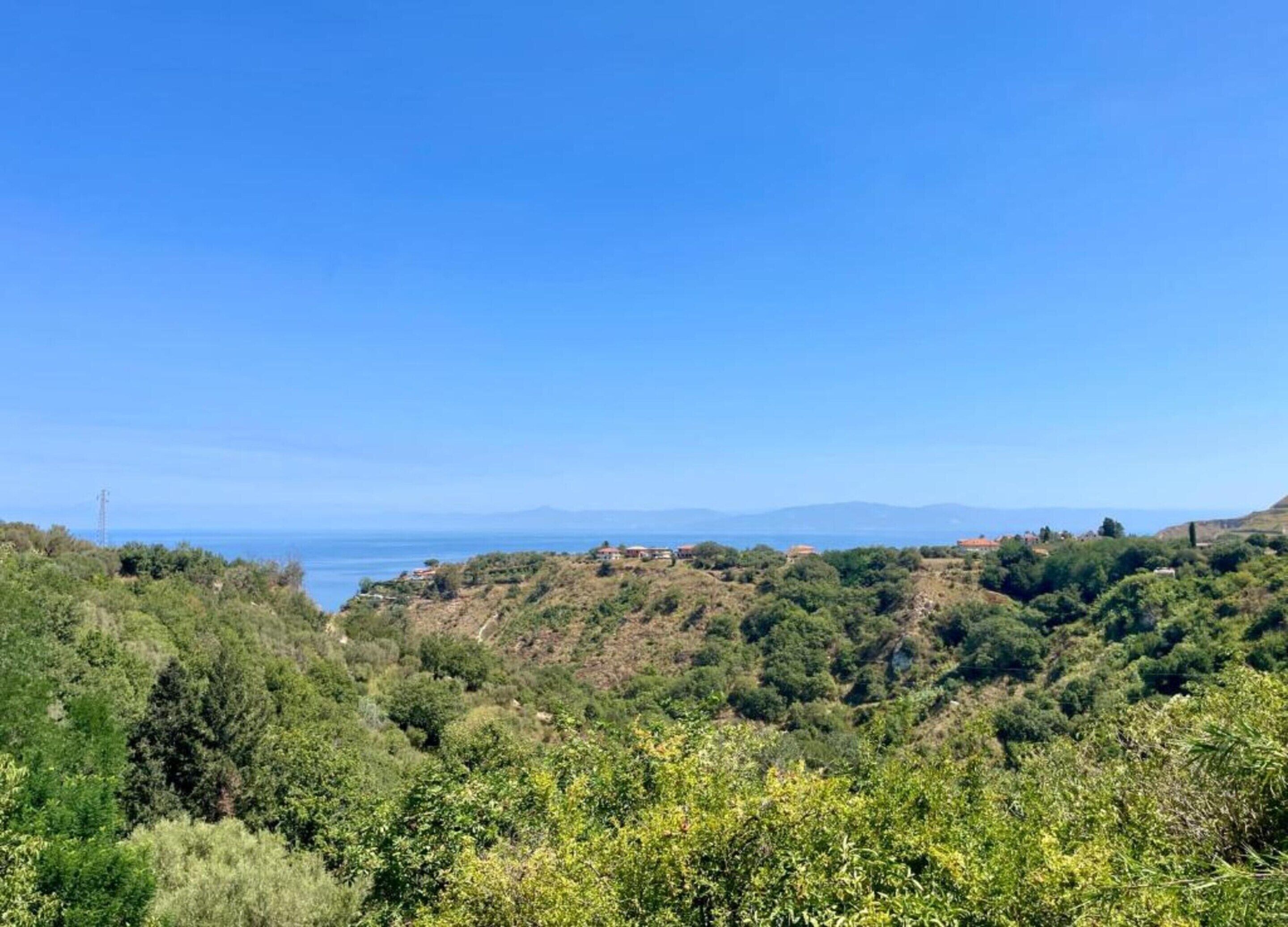 A coastal landscape with dense greenery and scattered buildings.