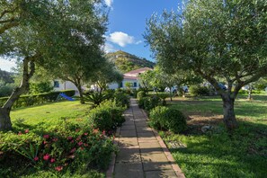 Apartment | Garden