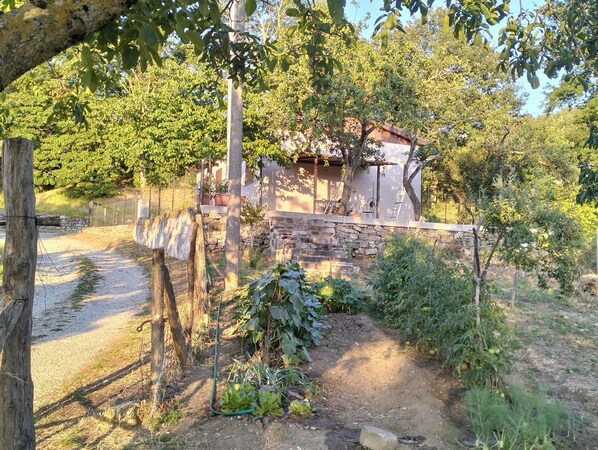 House | View from property
