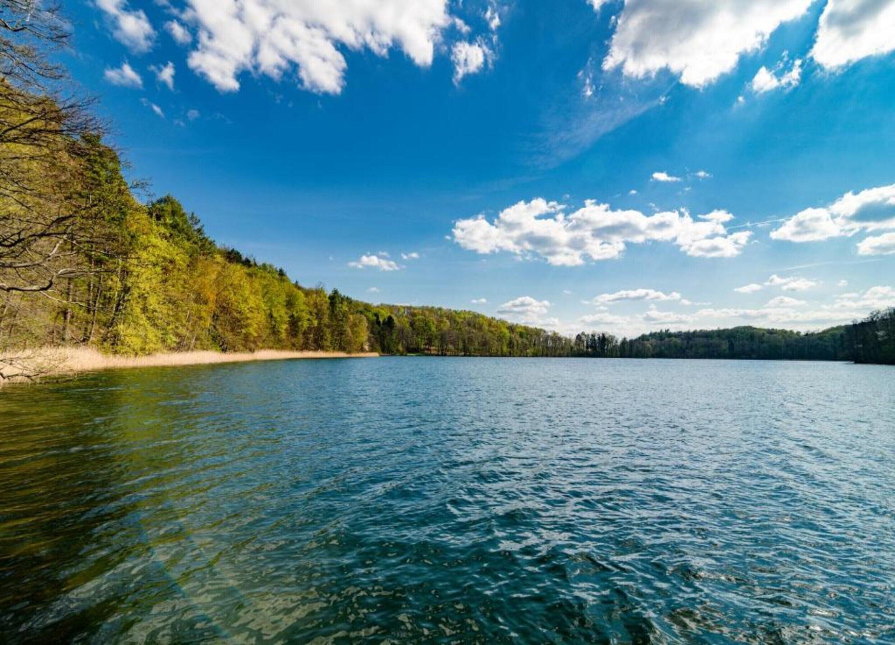 A calm lake surrounded by dense forest and a clear sky.