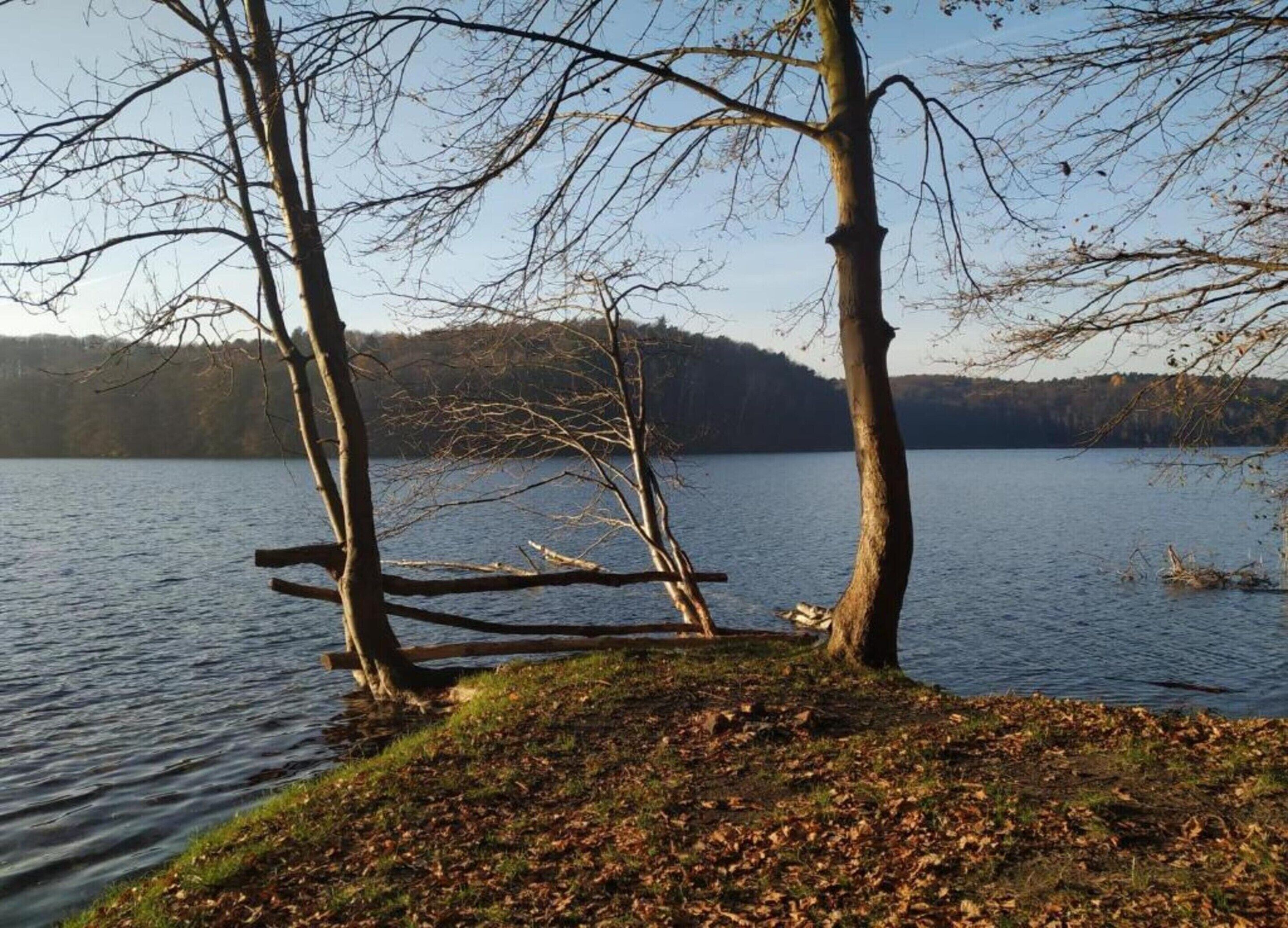 Vista para o lago, com chão coberto de folhas e um píer de madeira que se estende na água.