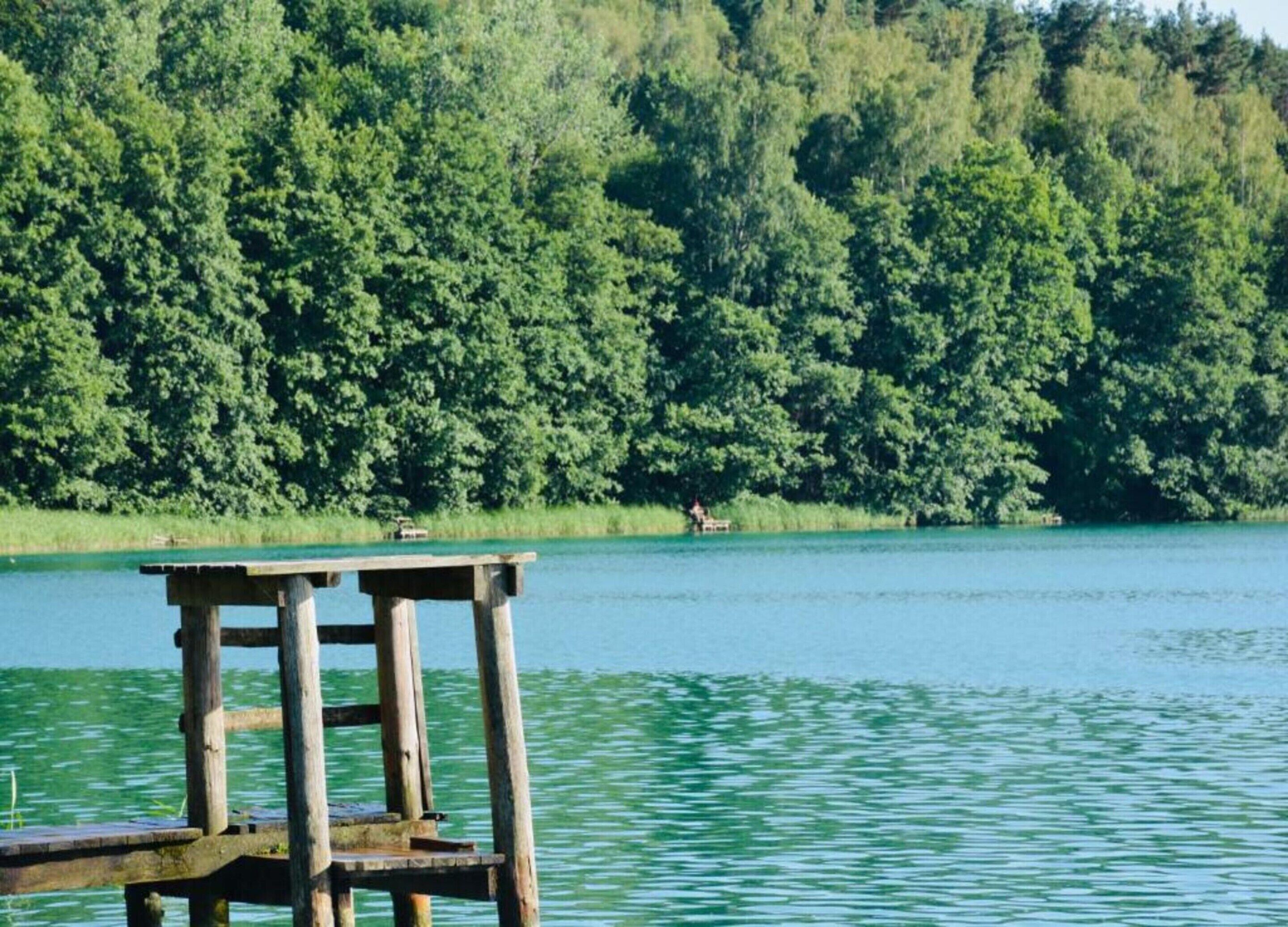 A wooden dock extending into a calm lake surrounded by dense green forest.