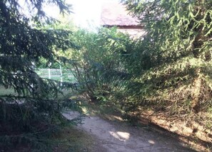 บังกะโล | วิวจากที่พัก