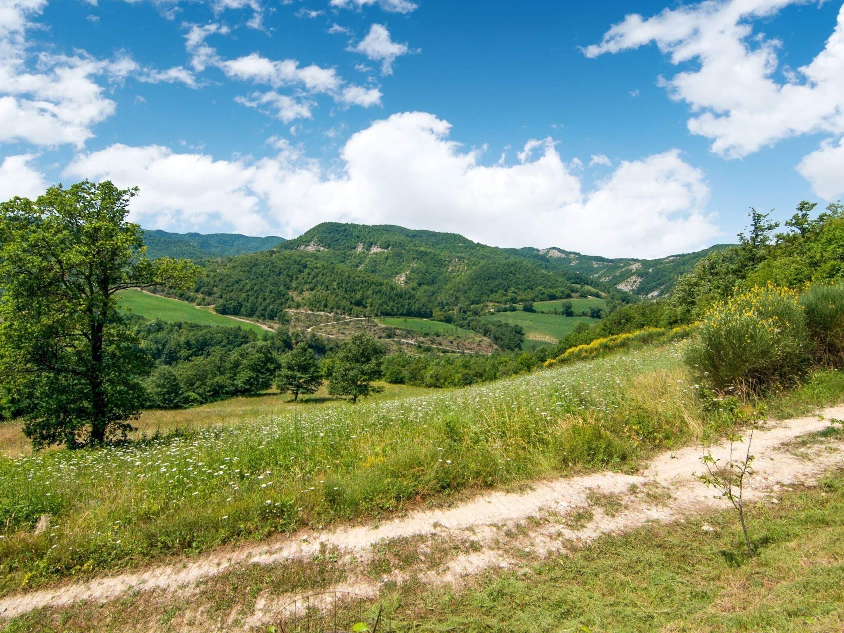 A scenic landscape with a dirt path, green hills, and trees.