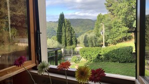 A window with a view of a green landscape, including trees and a hill. - Holiday Home in Pescia With Swimming Pool (Pescia)