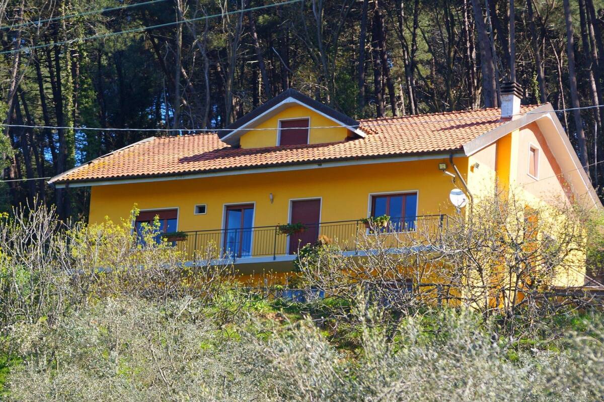 House | Exterior