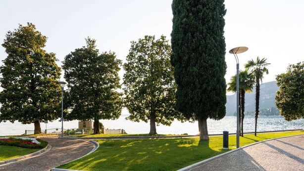 A paved pathway with a curved design, lined with trees and a lamp post.