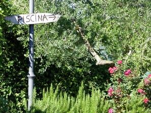 House | Interior detail