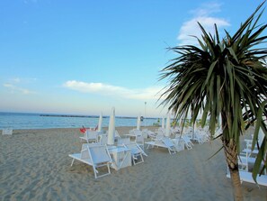 Una spiaggia con sedie a sdraio bianche e una palma.