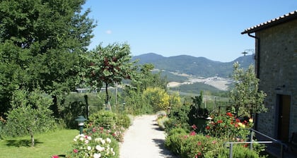 Holiday Home in Montecarelli With Pool