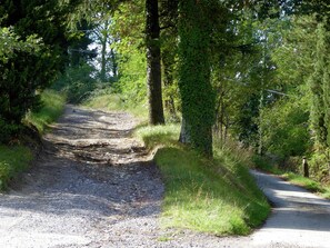 Hus | Utsikt från boendet