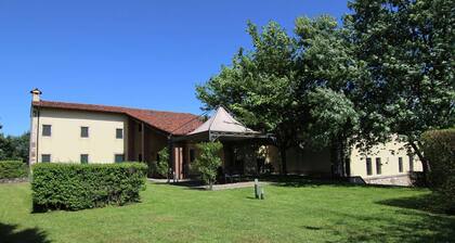 Mansion in Mason With Garden, Garden Furniture, Bicycles