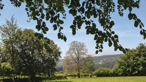 A grassy field with trees and a clear sky.