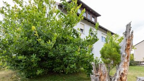 Un edificio con fachada blanca y techo marrón, rodeado de follaje verde y un tocón de árbol erosionado.