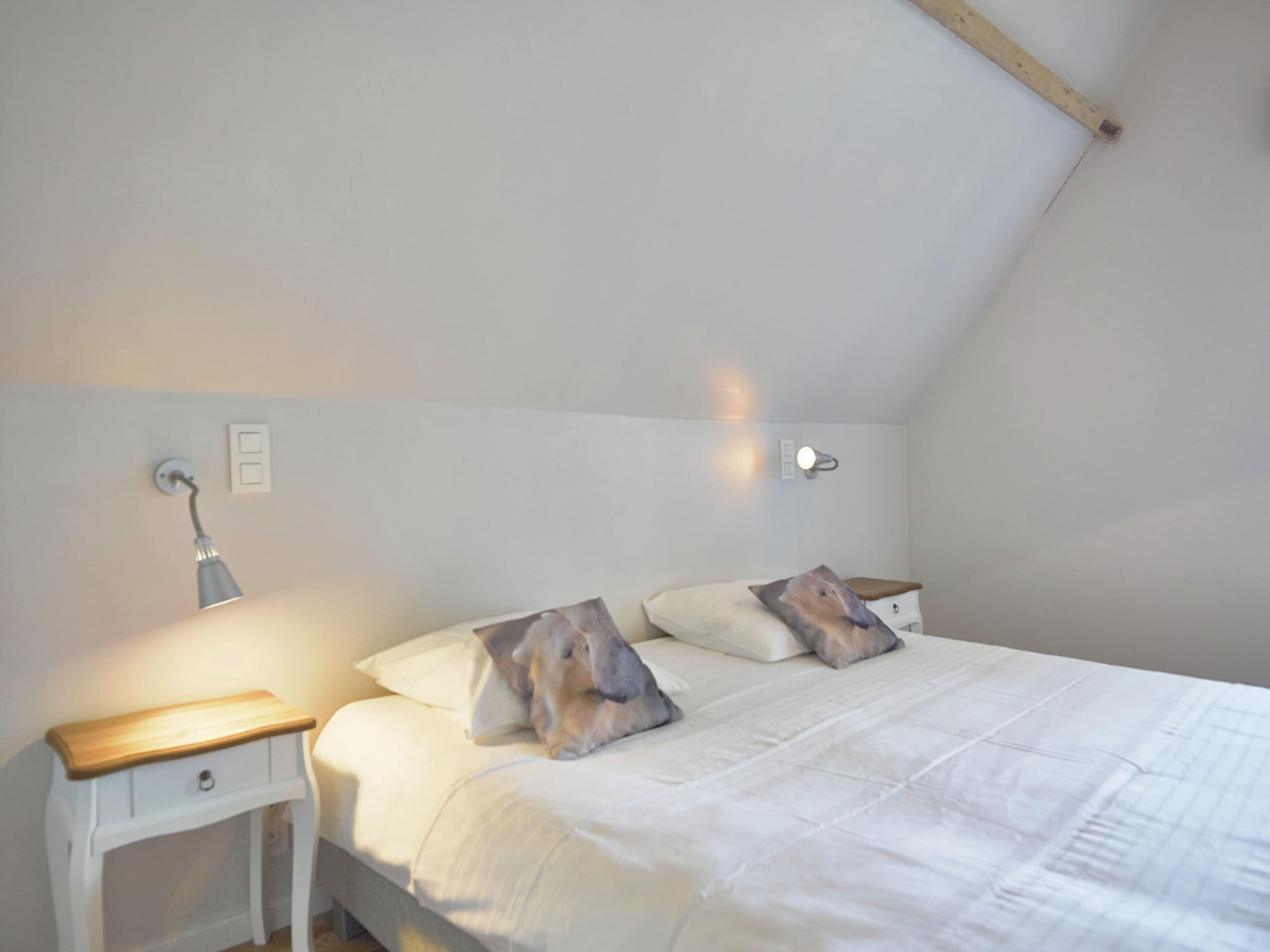 A bedroom with a bed, two bedside tables, a lamp, and a ceiling light.