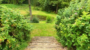 Uma trilha de madeira serpenteia por um jardim exuberante, ladeada por folhagem densa.
