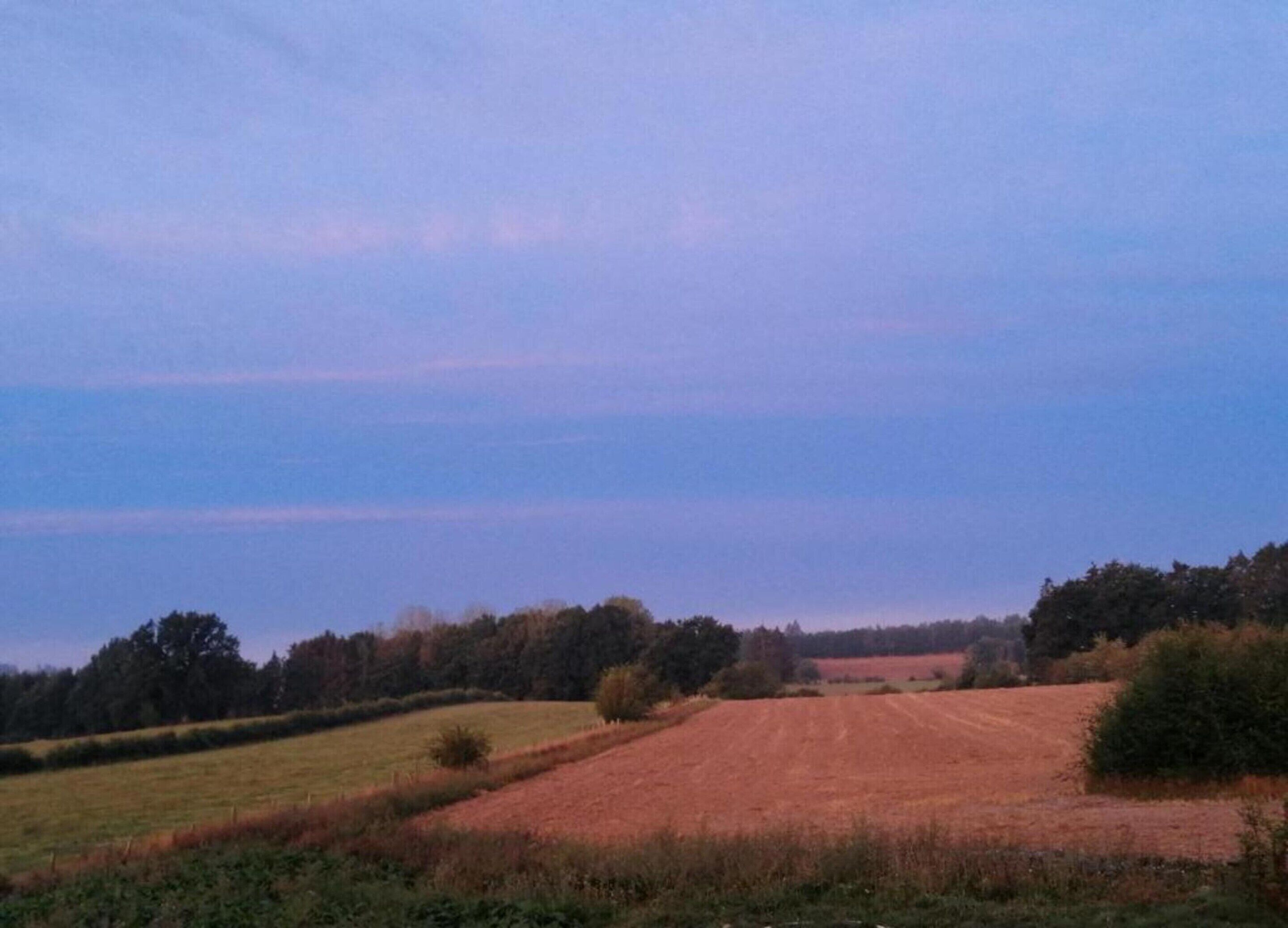 A rural landscape with fields and trees under a clear sky.