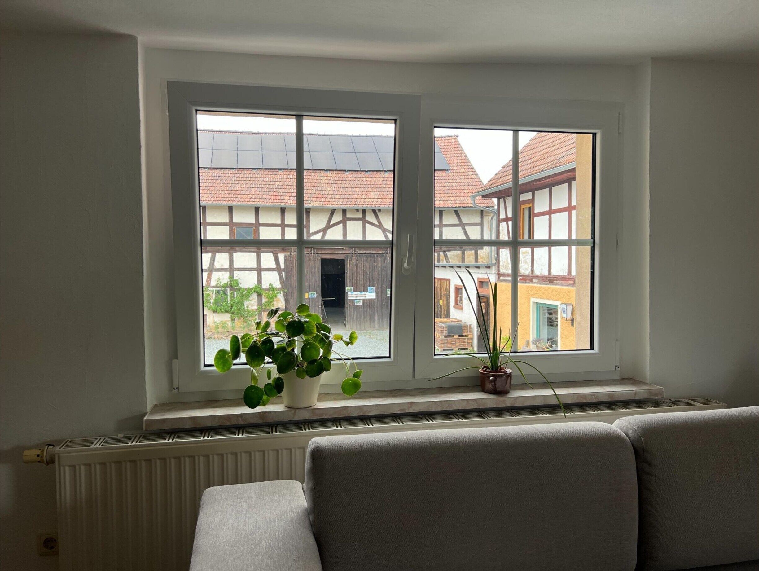 A room with a radiator, a window with a view of traditional buildings, and a plant on the windowsill.