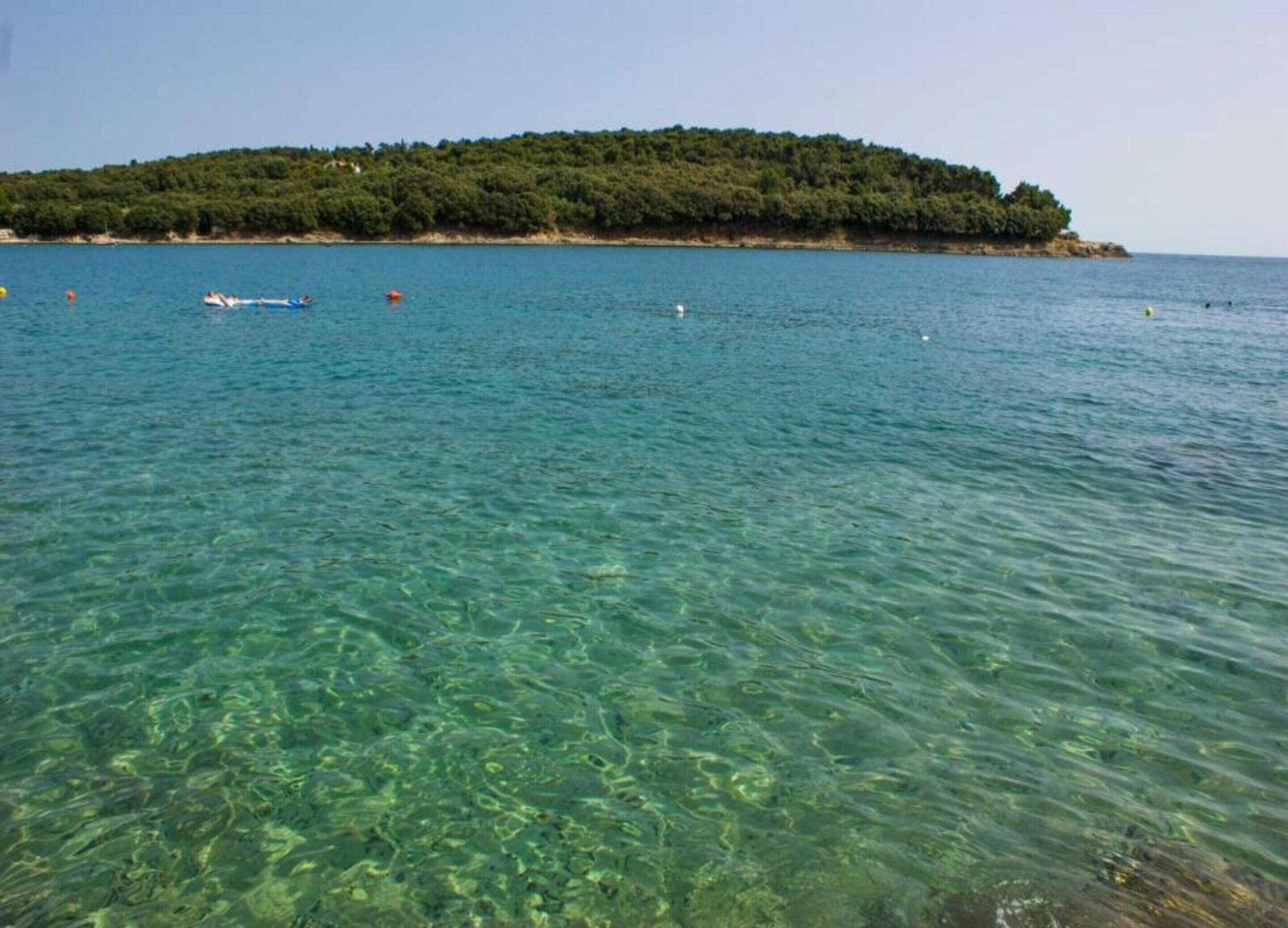 A clear view of a coastal area with a small island covered in trees.