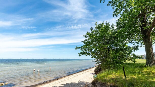 A beach with clear water, a sandy shore, and a tree on the right. - Pleasant Holiday Home in Zierow near Sea (Zierow)