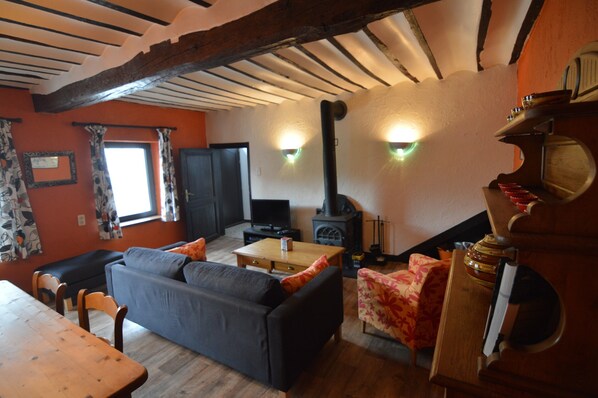 House | Living room | TV, fireplace