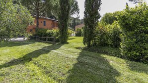 A grassy area with a wooden fence, a building with a red roof, and tall trees.
