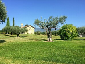 House | View from property - Villa with Private Pool on an Estate near Assisi (Assisi)