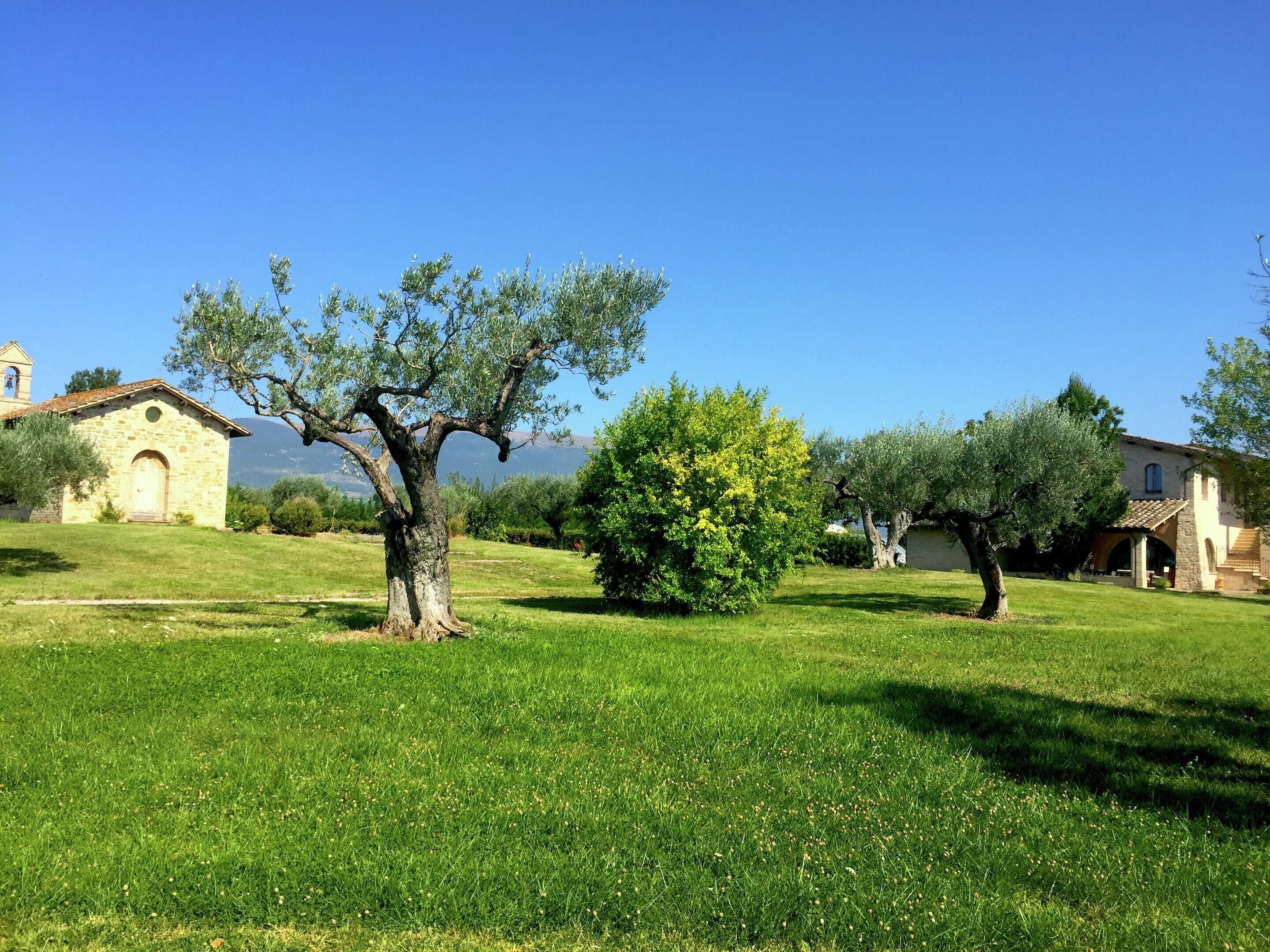 A rural landscape with a stone building, a tree, and a clear blue sky.