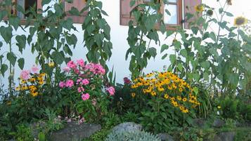 Apartment | Exterior