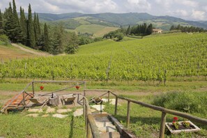 Property grounds - Apartment in Radda With Garden (Radda in Chianti)