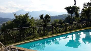 House | Pool | Outdoor pool