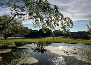 House | View from property - Limbourg Nature Retreat (Limbourg)