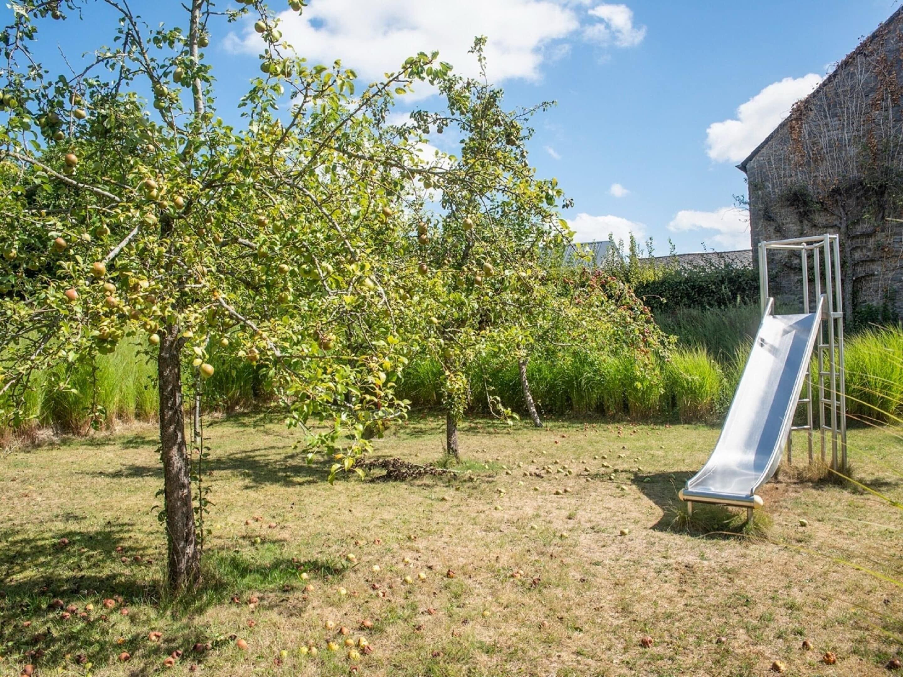 An outdoor area with a tree bearing fruit, a metal slide, and a stone wall in the background.