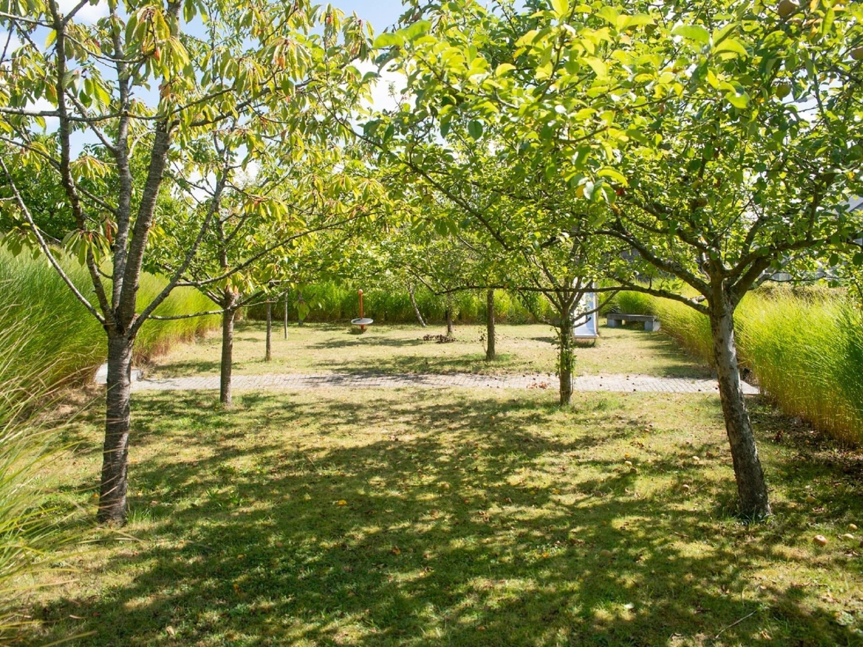 A serene outdoor area with trees, a pathway, and a small pond.