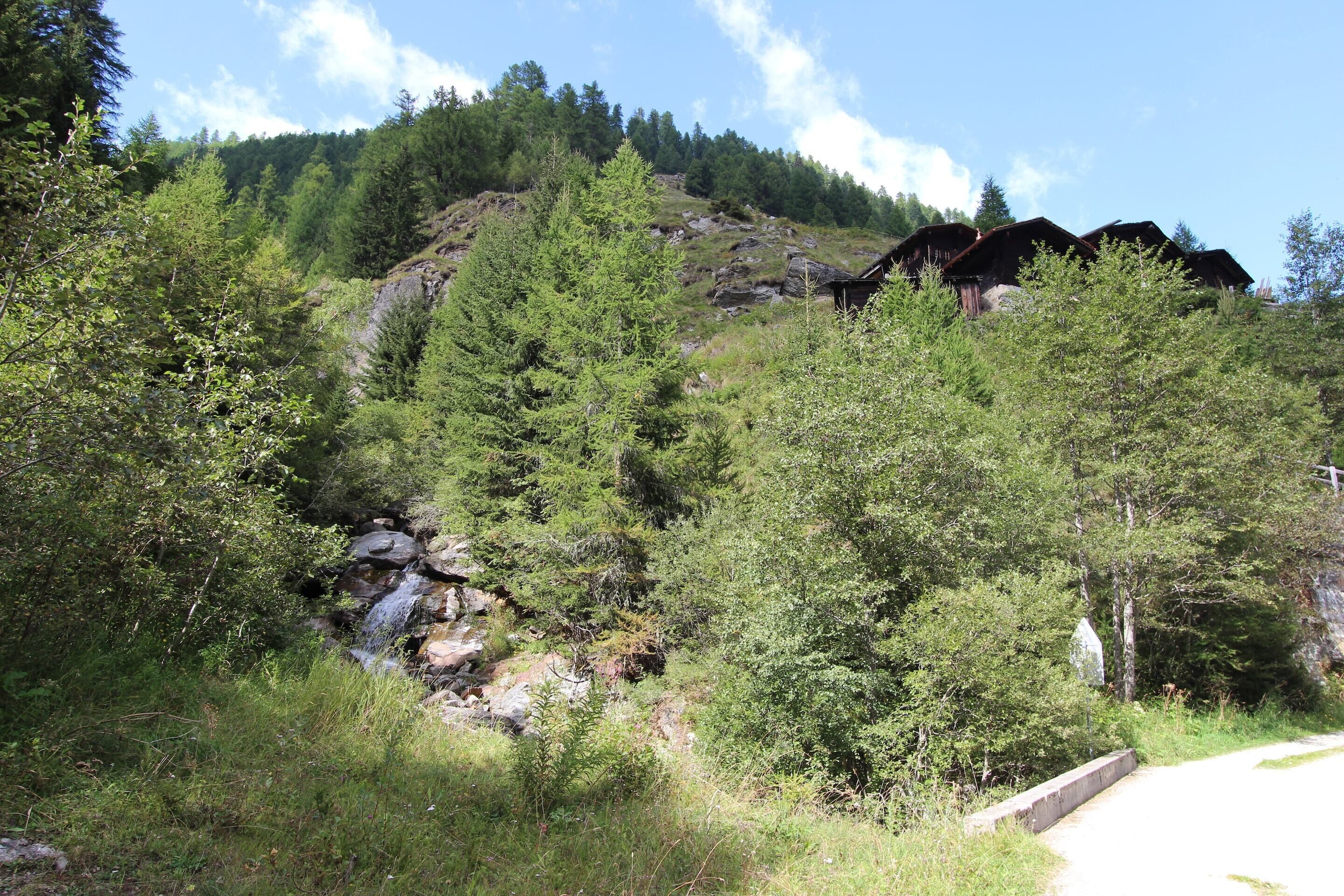 A mountainous area with a small stream, dense forest, and rustic cabins.
