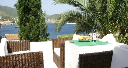 Traditional House With two Apartments
