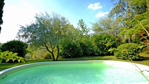 Ein Schwimmbecken, umgeben von üppiger Vegetation und Bäumen.