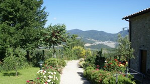 A garden path leading to a stone building with a view of mountains. - Holiday Home in Montecarelli With Pool (Barberino di Mugello)