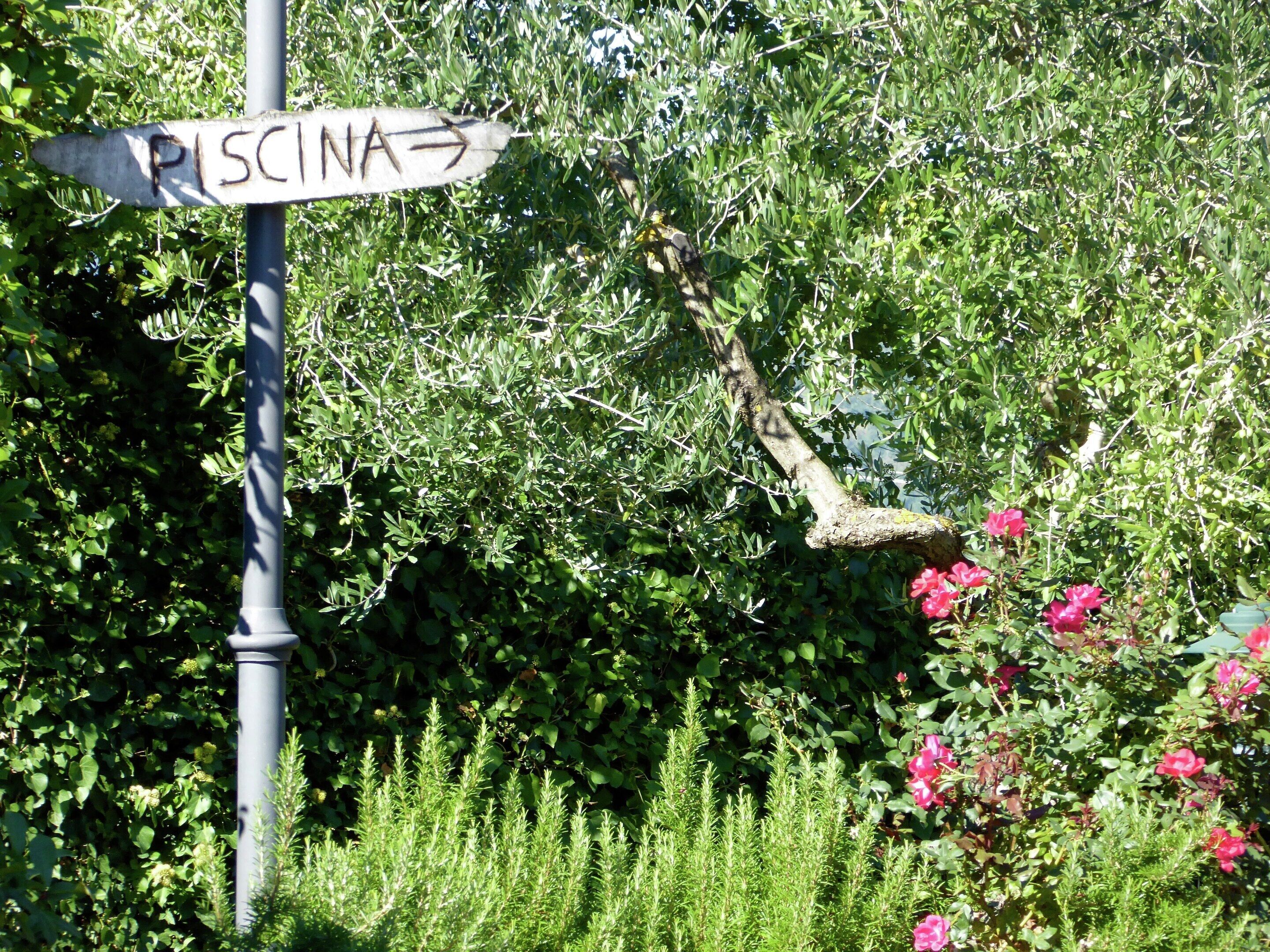 Un cartel señalando la dirección, con la palabra 'PISCINA' escrita, rodeado de exuberante follaje y plantas en flor.