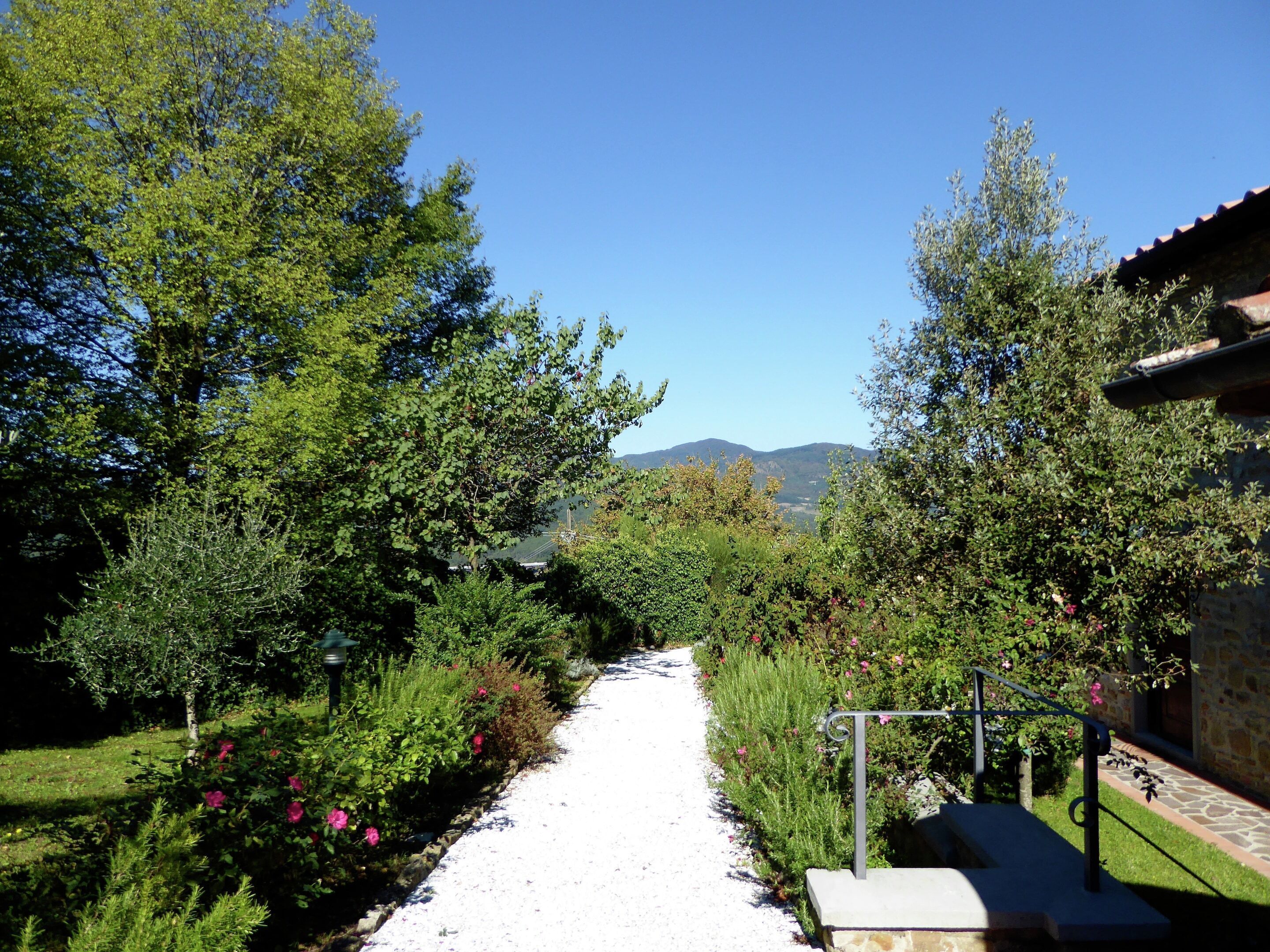 A pathway leading through a garden with various plants and a stone building on the right.