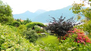 A lush garden with a variety of plants and flowers, a wooden bench, and a table. - Sunny & Peacefully Situated House near Center of Village (San Siro)