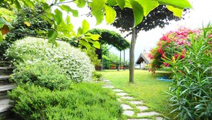A garden pathway with stone steps, surrounded by lush greenery and flowering plants. - Sunny & Peacefully Situated House near Center of Village (San Siro)