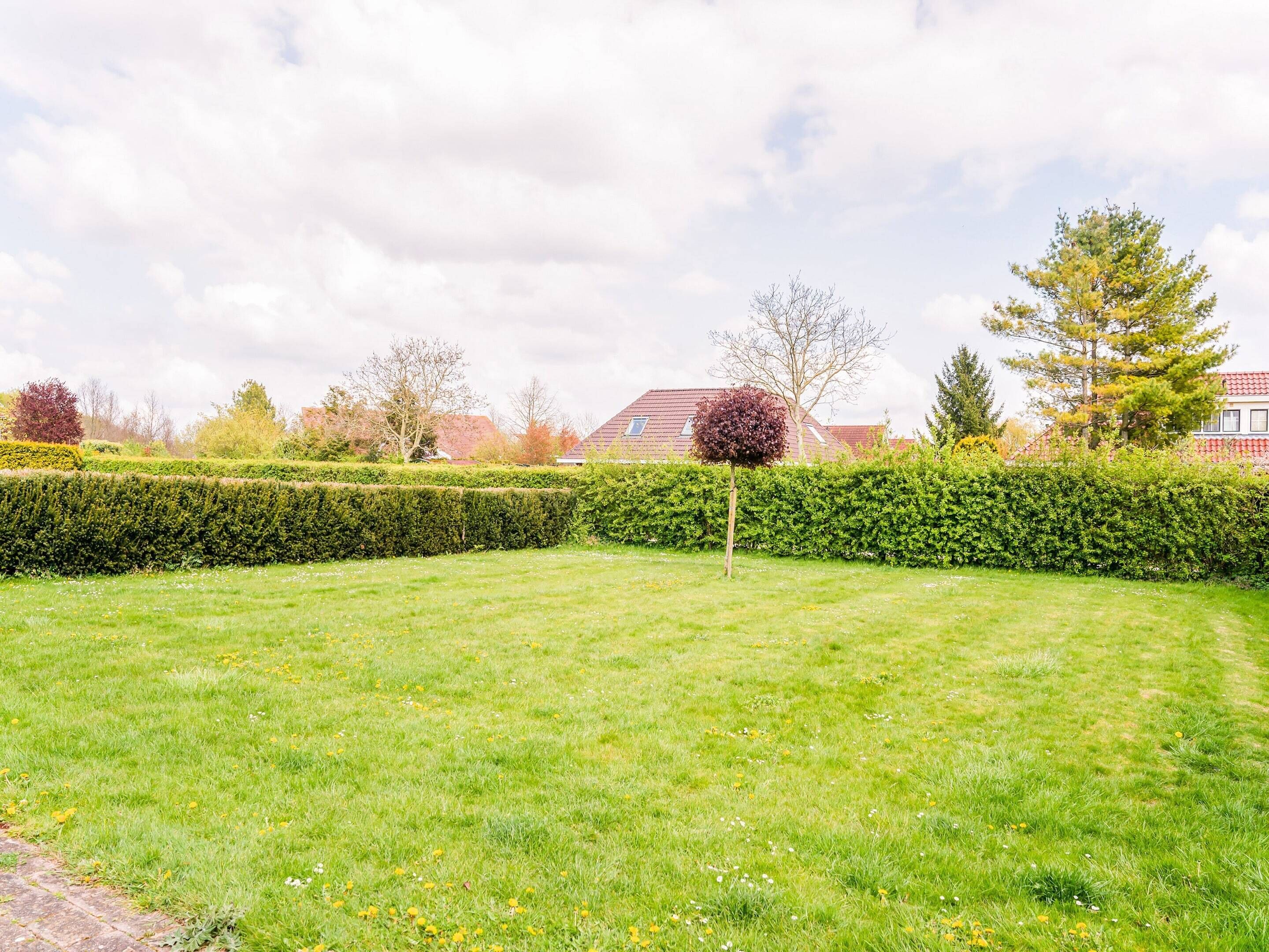 A well-maintained grassy lawn with a neatly trimmed hedge and a single tree.