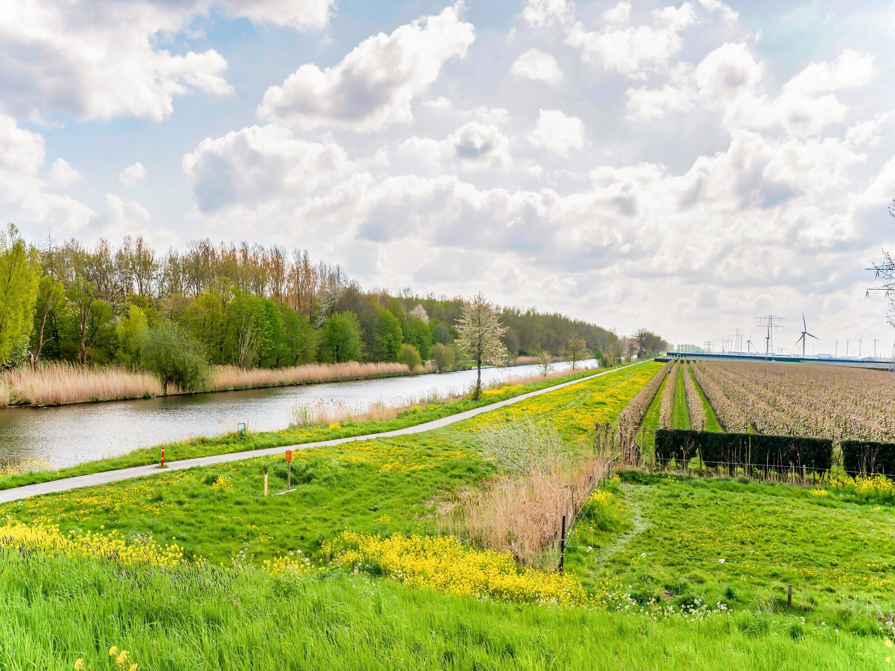 A riverside landscape with a path, fields, and wind turbines in the distance.