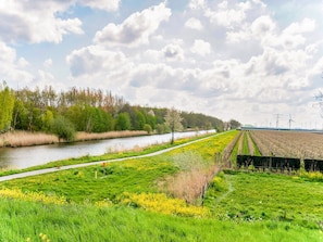Eine Flusslandschaft mit einem Pfad, Feldern und Windkraftanlagen in der Ferne.