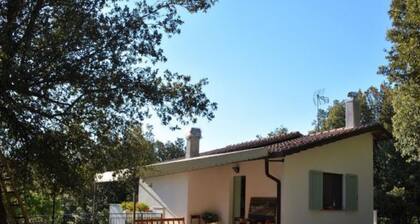 Relaxing Villa in Rofrano near Tennis Court & Town Center