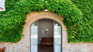 A stone archway entrance with a bench inside, surrounded by lush green ivy. - Escape Near San Gimignano (San Gimignano)