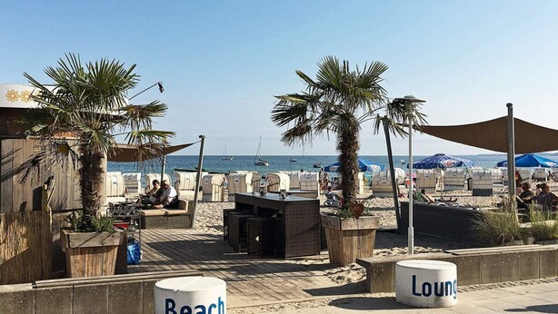 Un espace de détente aménagé sur la plage, avec des sièges, des palmiers et une vue sur la mer.